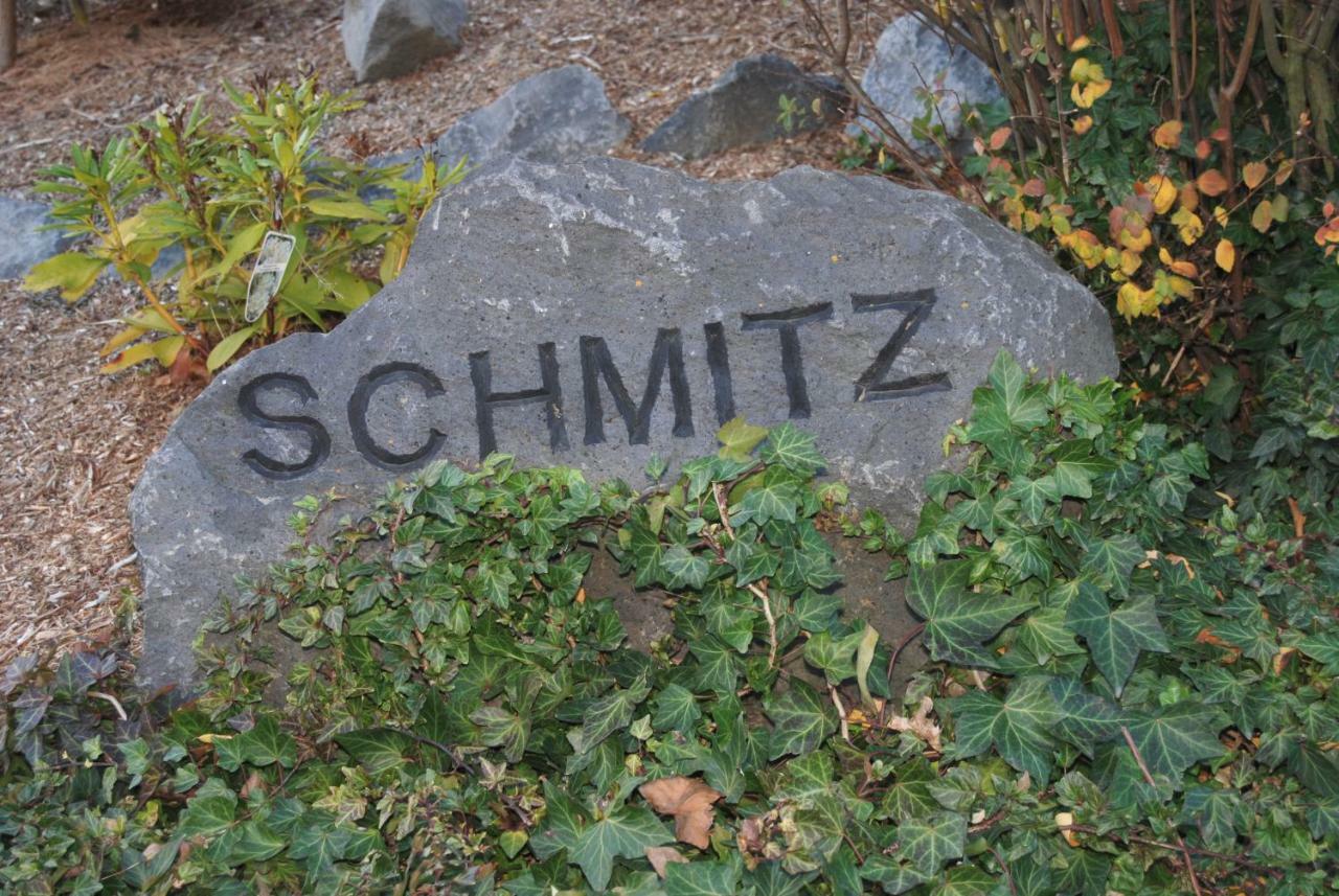 Ferienwohnung Schmitz Anschau Buitenkant foto